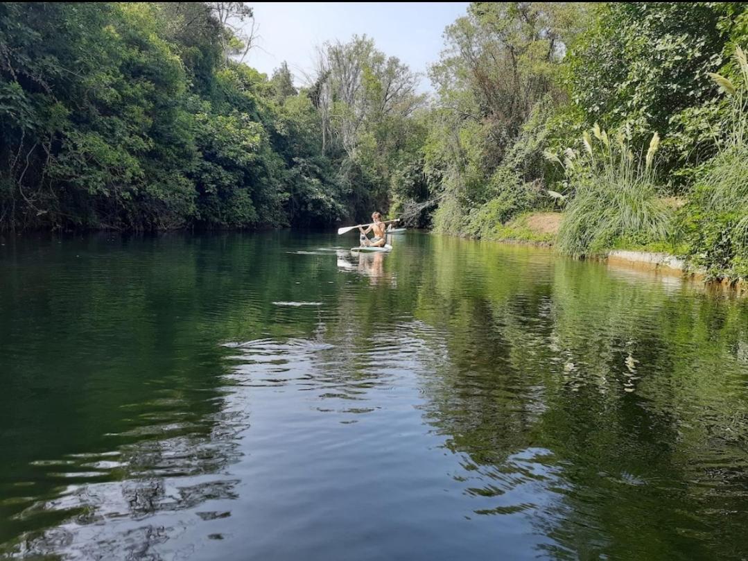 Willa Petit Moulin Le Cannet-des-Maures Zewnętrze zdjęcie